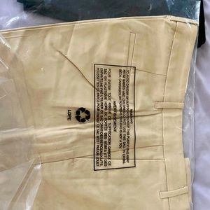 Ann Taylor - city short